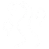 ikona